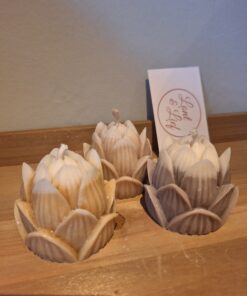 Alternative view of Lotus Kaars