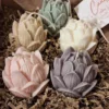 lotus, lotusbloem, bloem, kaars