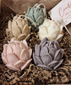 lotus, lotusbloem, bloem, kaars