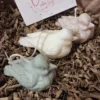 Vogeltjes Kaars