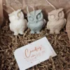Drie uilvormige kaarsen van duurzame koolzaadwas in diverse kleuren op natuurlijke ondergrond.