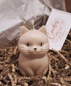 Kat, kattenliefhebber, kaars, koolzaadwas. duurzaam