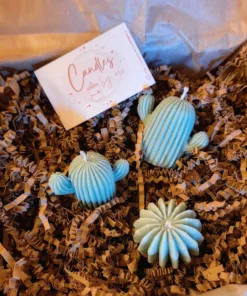 Set van 3 schattige cactusvormige kaarsjes, duurzaam gemaakt van koolzaadwas, perfect als decoratie of cadeau.