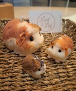 Cavia kaarsen