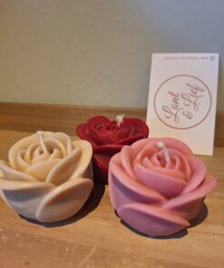 Alternative view of Roos Medium