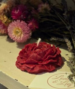 Alternative view of Pioen Roosjes Kaars